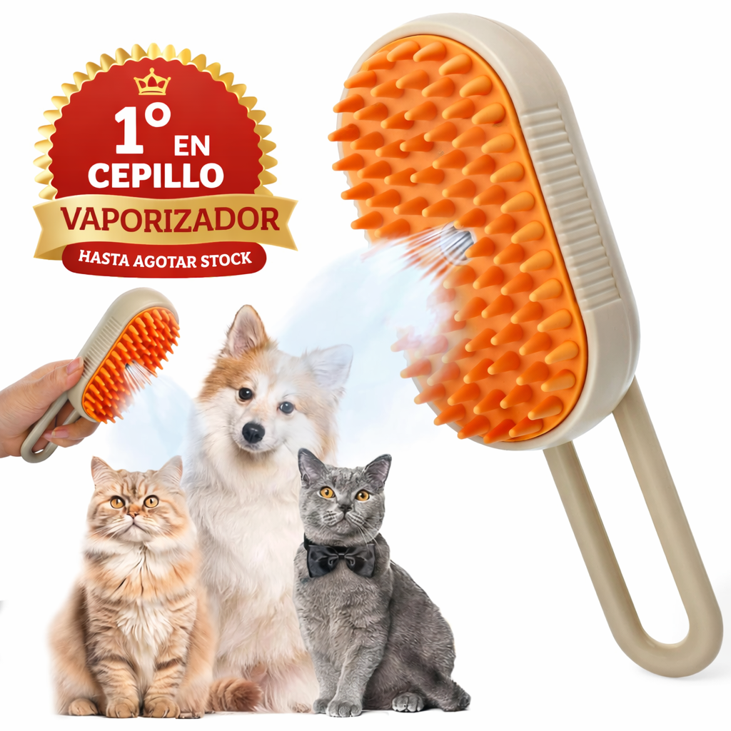 Cepillo Para Mascotas A Vapor Recargable
